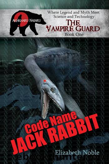 Code Name Jack Rabbit by Elizabeth Noble