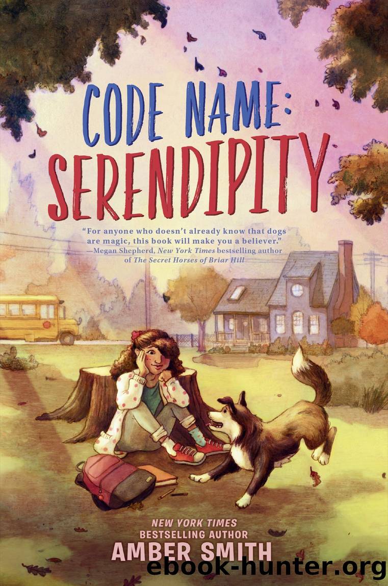 Code Name: Serendipity by Amber Smith