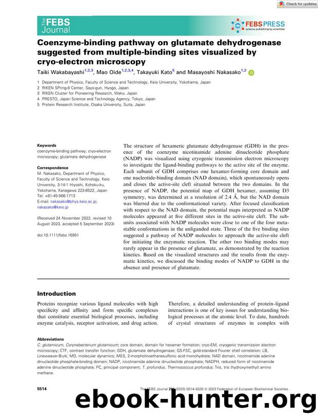 Coenzymeâbinding pathway on glutamate dehydrogenase suggested from multipleâbinding sites visualized by cryoâelectron microscopy by Unknown