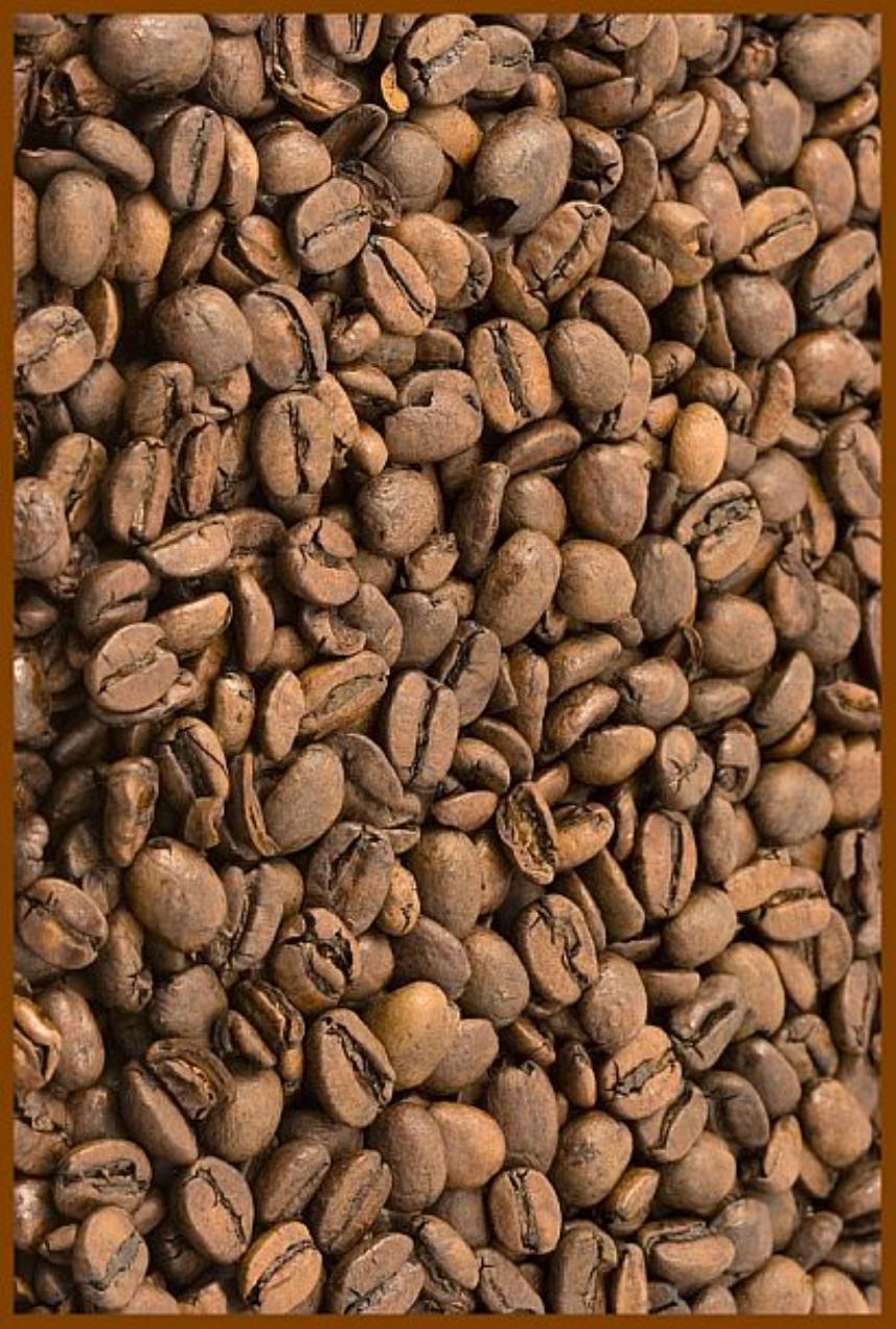 Coffee Connoisseurâs Cookbook, A Collection of Recipes to make every Coffee Break A Memorable Event by James W Perrine
