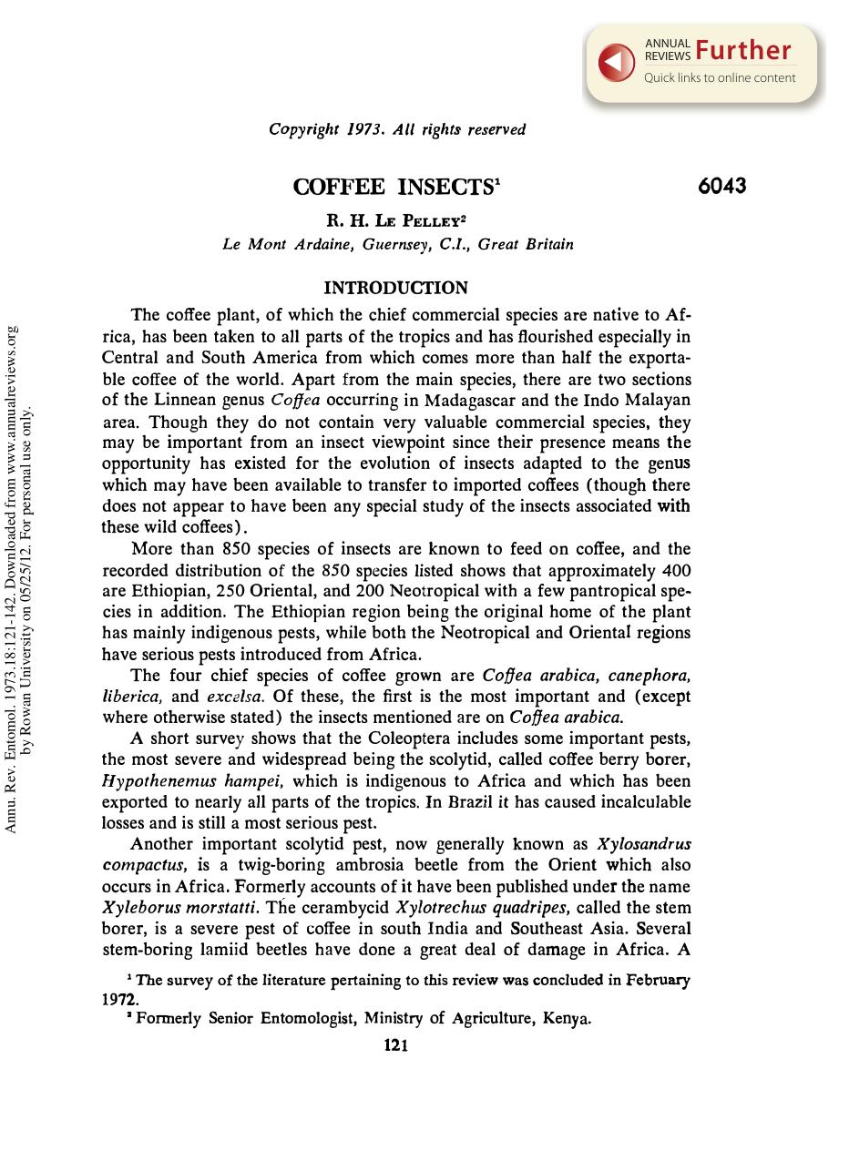 Coffee Insects by R H Le Pelley