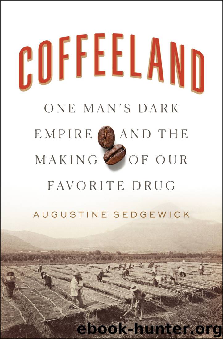 Coffeeland by Augustine Sedgewick