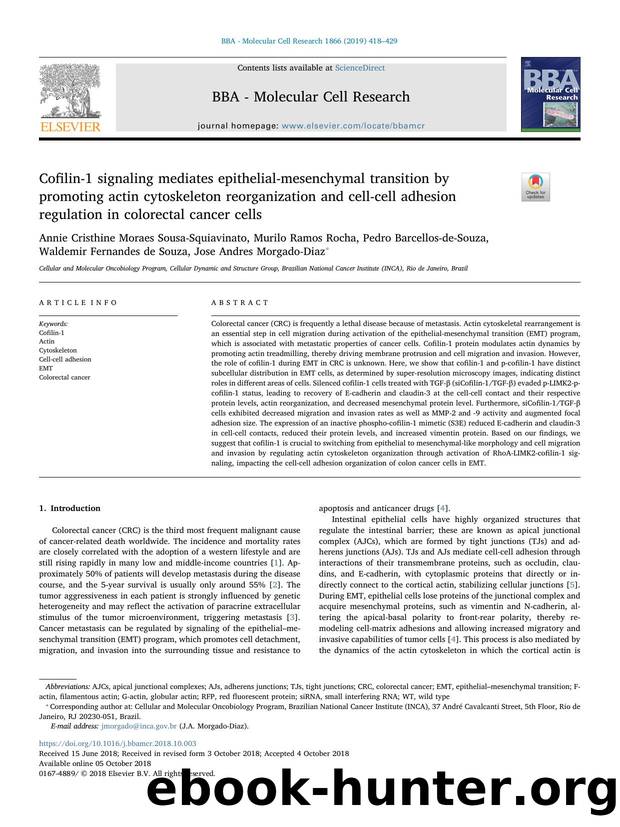 Cofilin-1 signaling mediates epithelial-mesenchymal transition by promoting actin cytoskeleton reorganization and cell-cell adhesion regulation in colorectal cancer cells by unknow