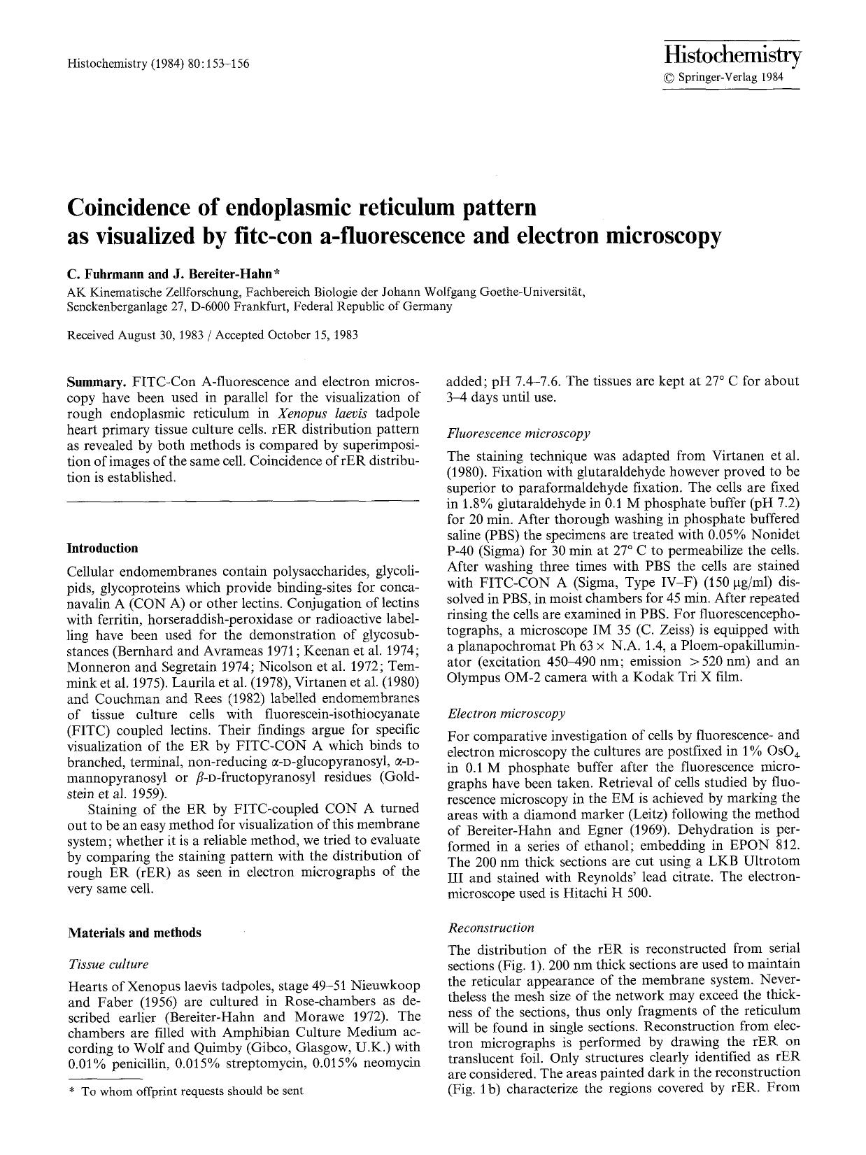 Coincidence of endoplasmic reticulum pattern as visualized by fitc-con a-fluorescence and electron microscopy by Unknown