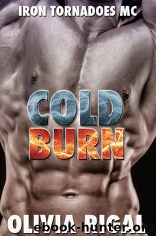 Cold Burn by Olivia Rigal