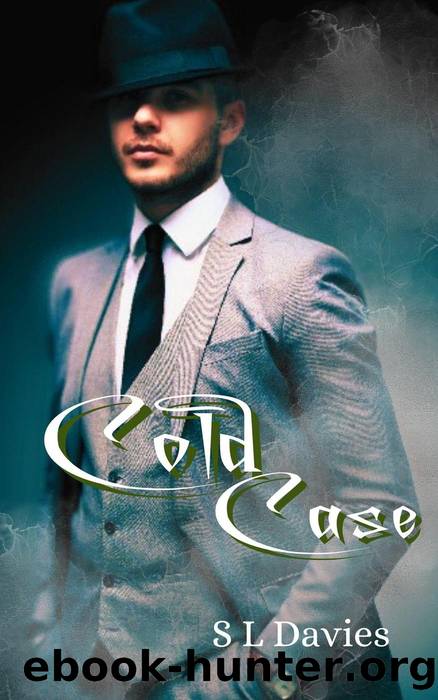 Cold Case by S L Davies