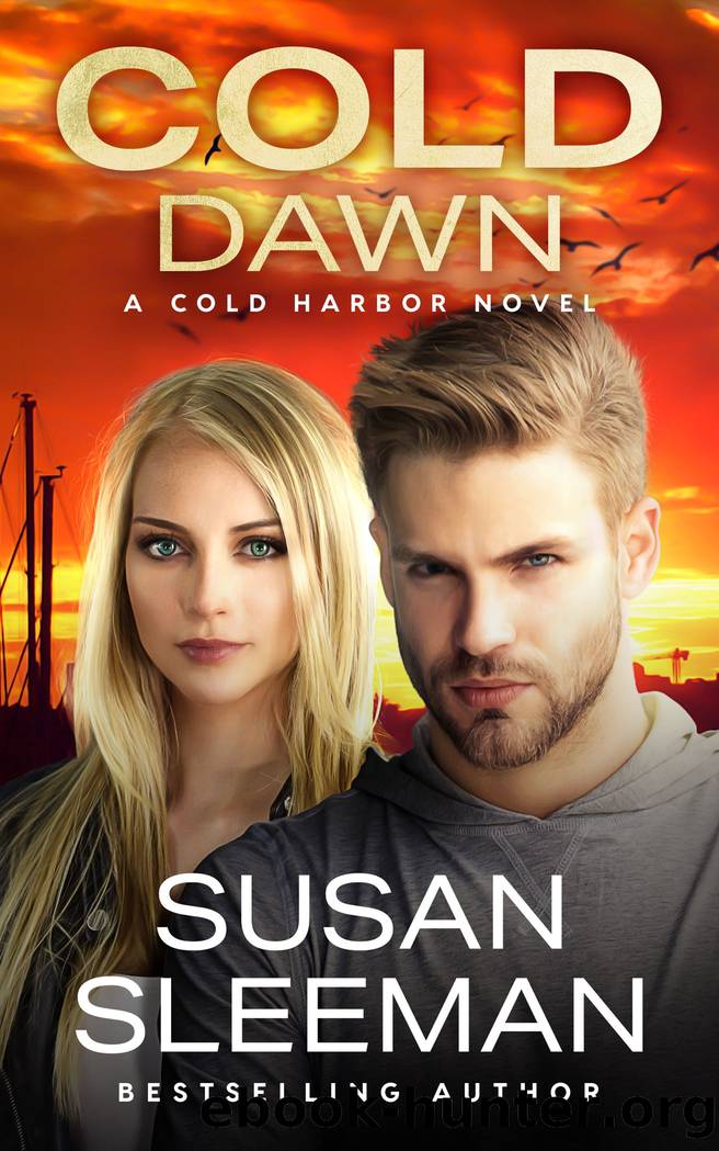 Cold Dawn: by Susan Sleeman
