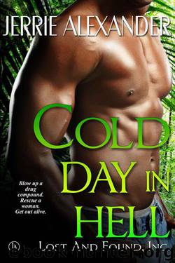 Cold Day In Hell by Jerrie Alexander