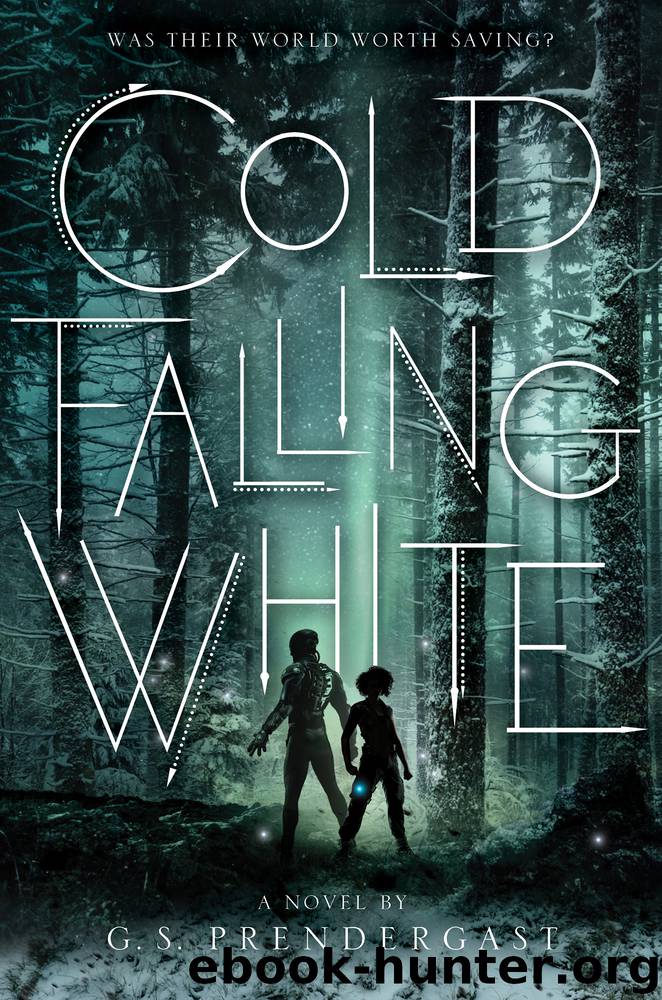 Cold Falling White by G. S. Prendergast
