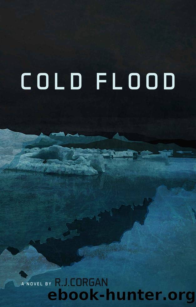 Cold Flood (Kea Wright Mysteries Book 1) by RJ Corgan