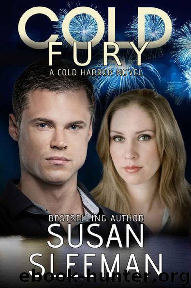 Cold Fury by Susan Sleeman