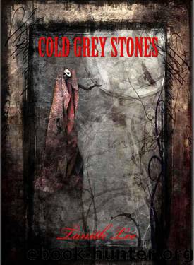 Cold Grey Stones by Tanith Lee