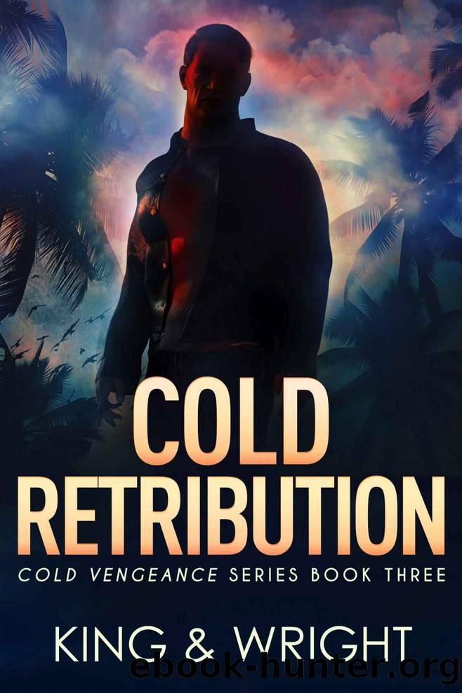 Cold Retribution (Cold Vengeance Book 3) by Nolon King & David W. Wright
