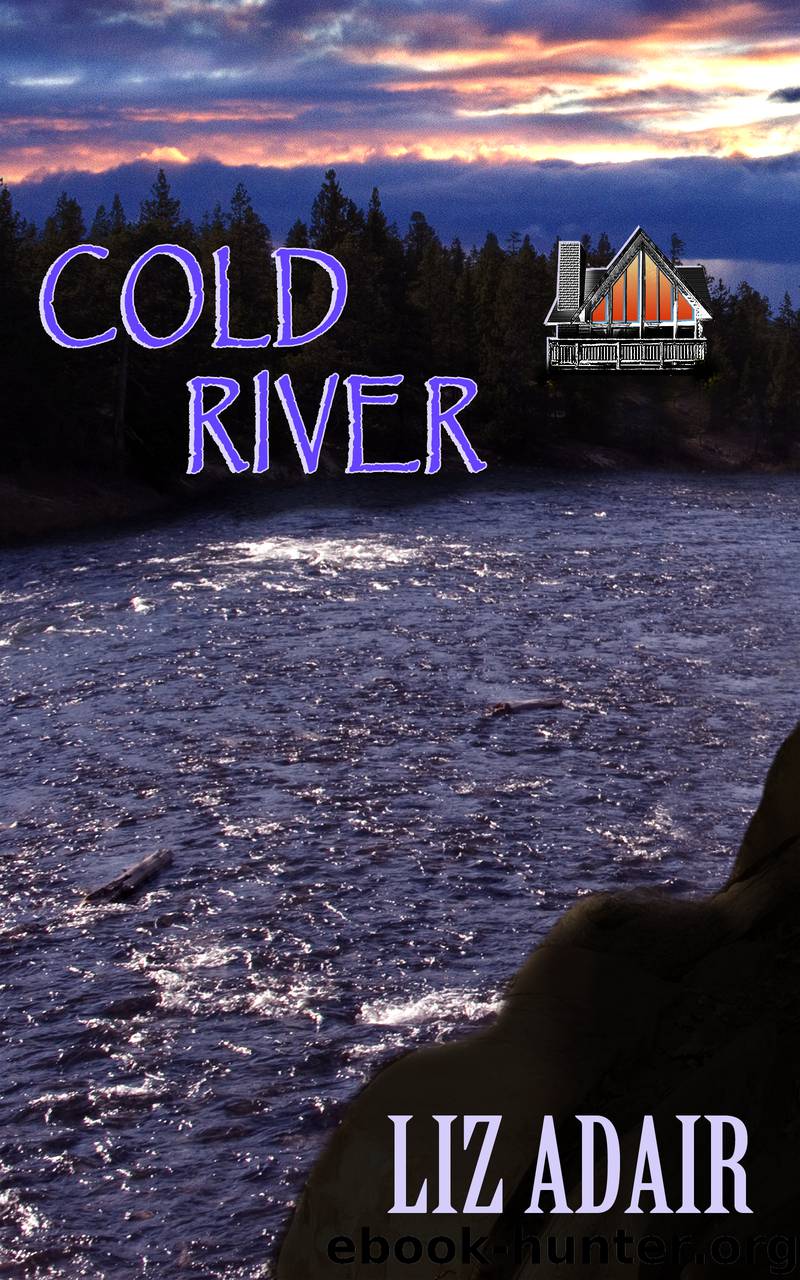 Cold River by Liz Adair