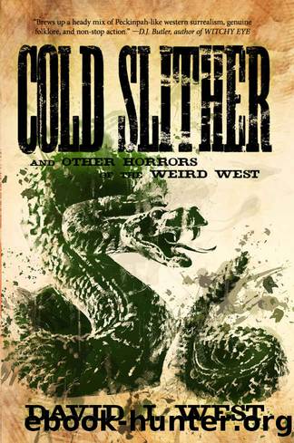 Cold Slither by David J. West