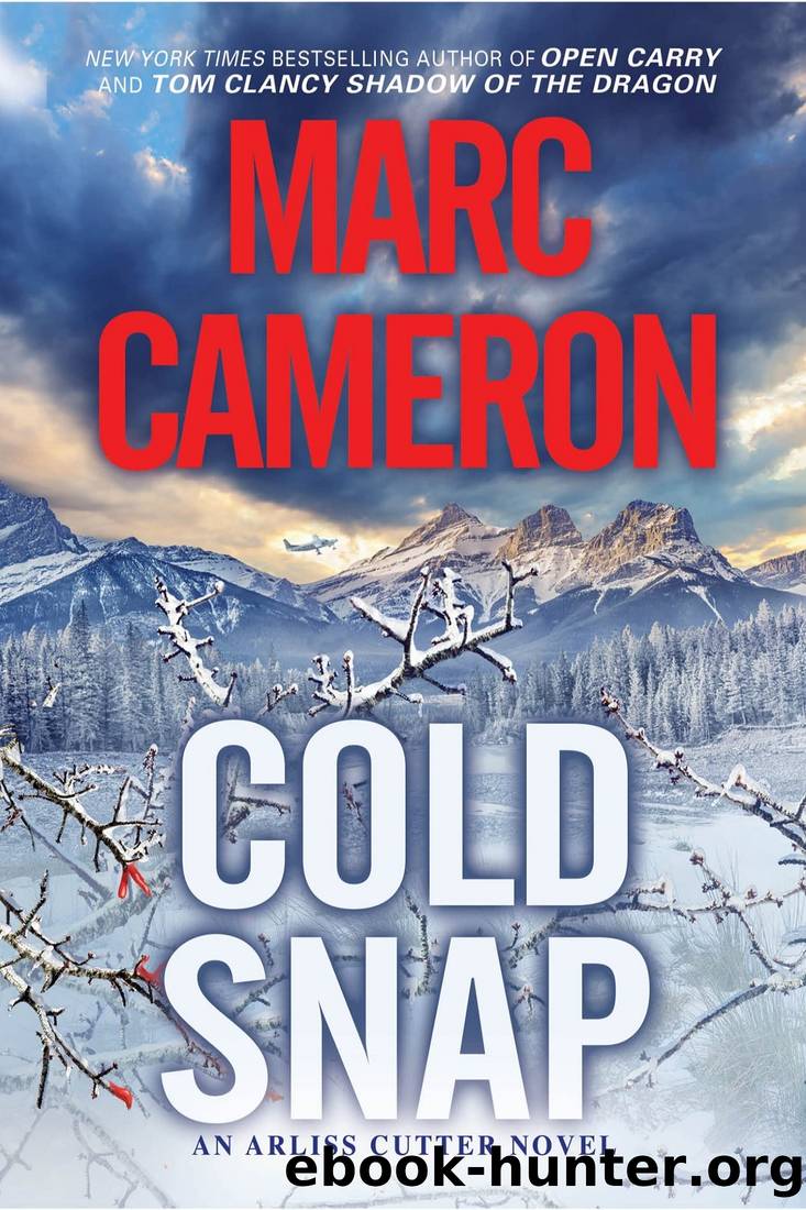 Cold Snap: An Action Packed Novel of Suspense by Marc Cameron