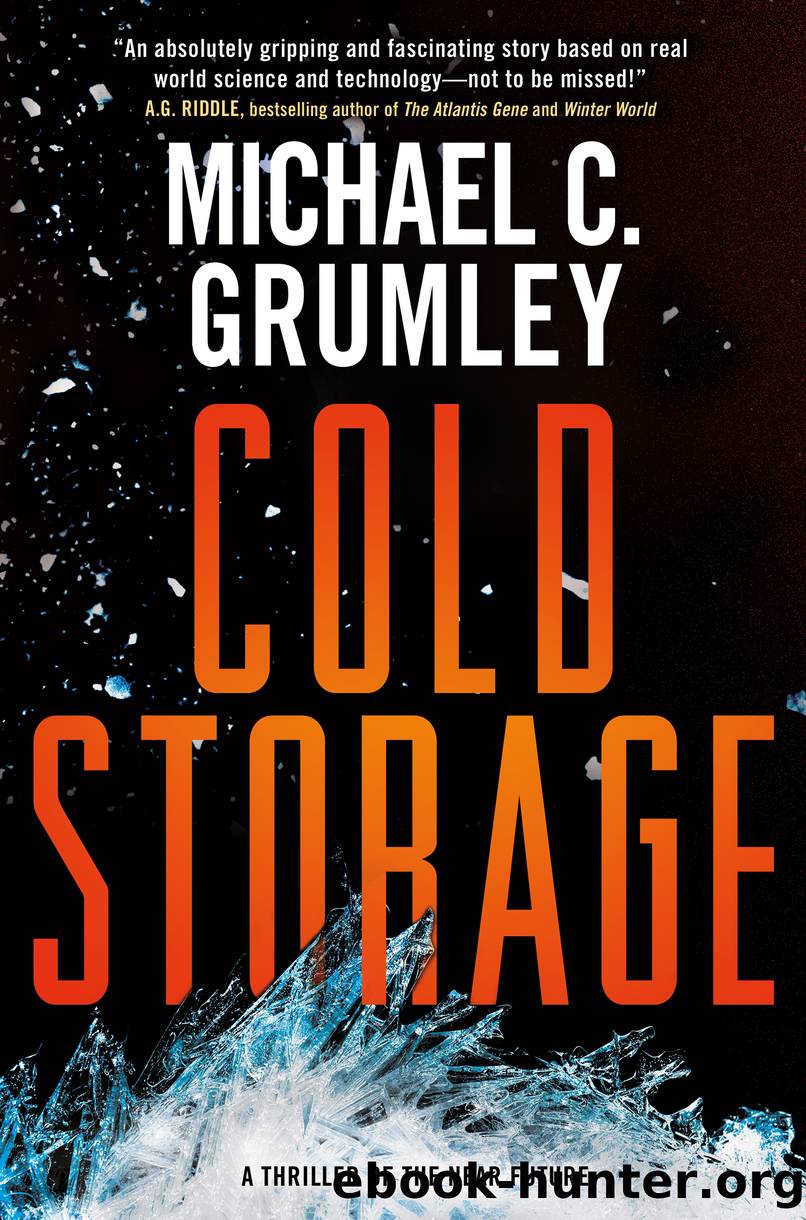 Cold Storage by Michael C. Grumley