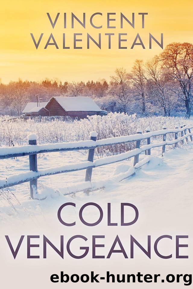 Cold Vengeance: A Small Town Post Apocalypse EMP Thriller by Valentean Vincent