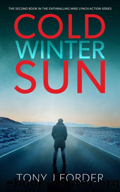 Cold Winter Sun by Tony J Forder