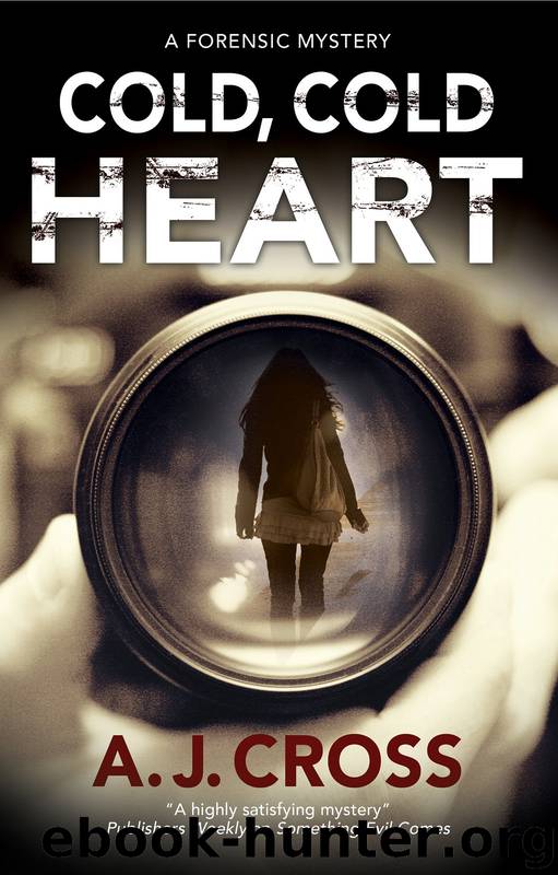 Cold, Cold Heart by A.J. Cross