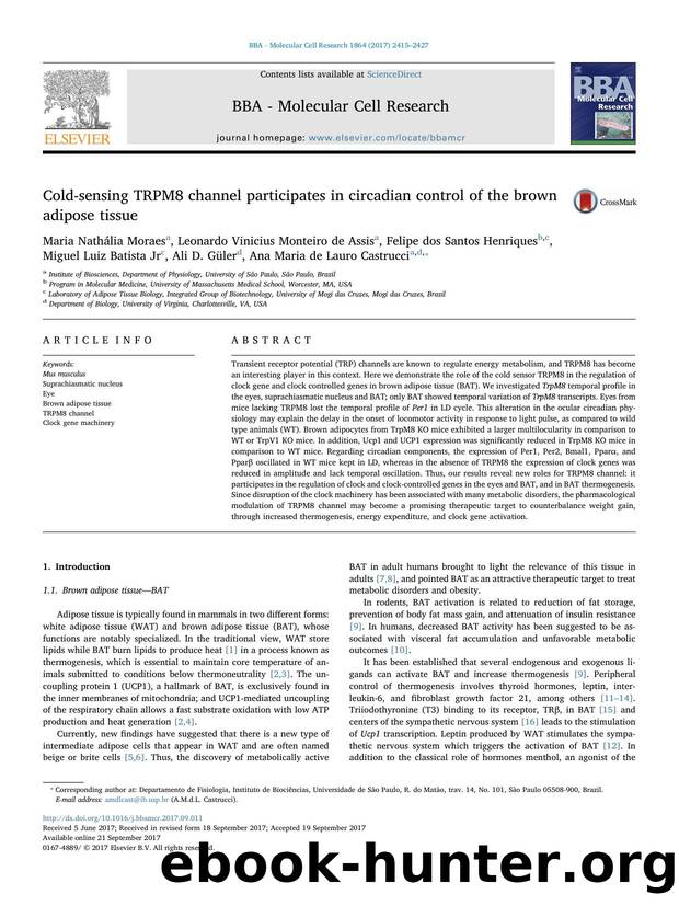 Cold-sensing TRPM8 channel participates in circadian control of the brown adipose tissue by unknow