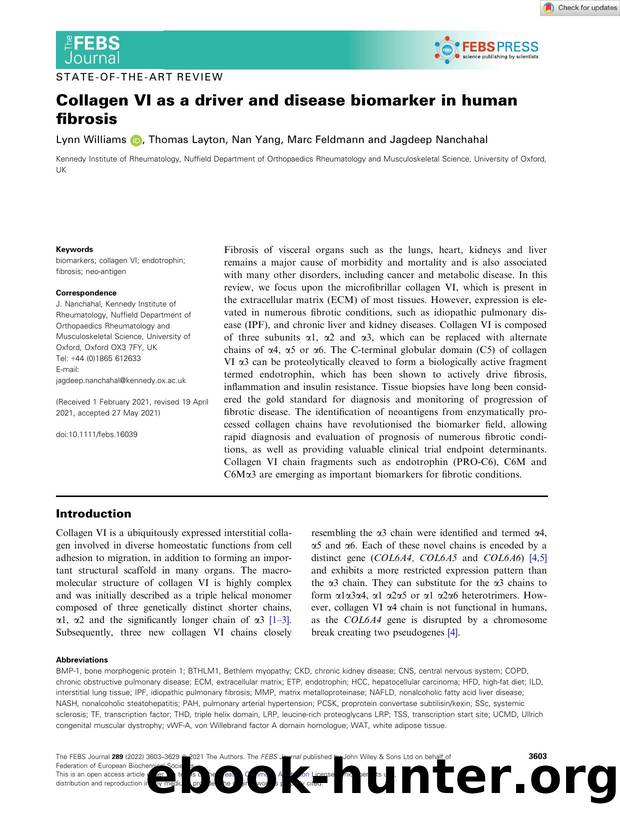 Collagen VI as a driver and disease biomarker in human fibrosis by Unknown