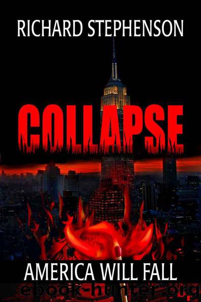 Collapse (New America) by Stephenson Richard