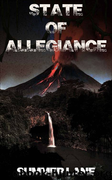 Collapse Series (Book 9): State of Allegiance by Summer Lane