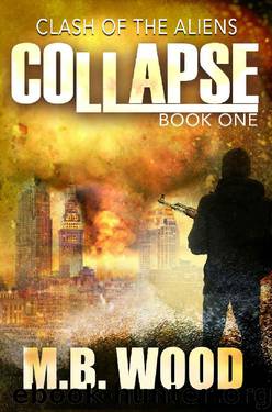 Collapse by M B Wood