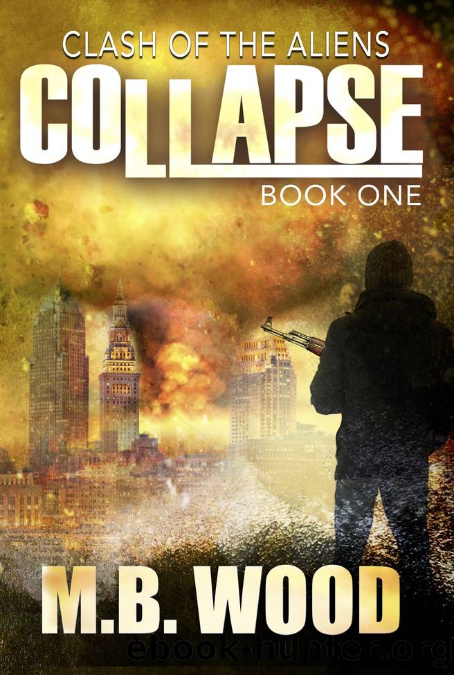 Collapse by M.B. Wood