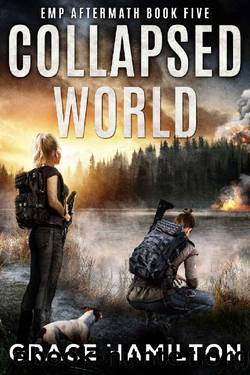 Collapsed World (EMP Aftermath Book 5) by Grace Hamilton