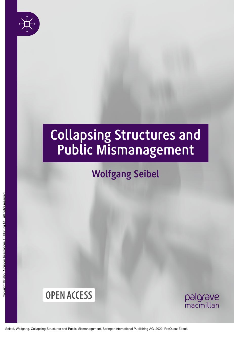 Collapsing Structures and Public Mismanagement by Wolfgang Seibel