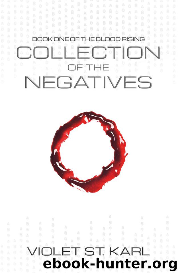 Collection of the Negatives by Violet St Karl