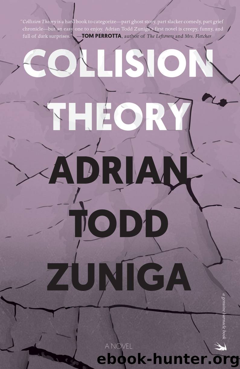 Collision Theory by Adrian Todd Zuniga