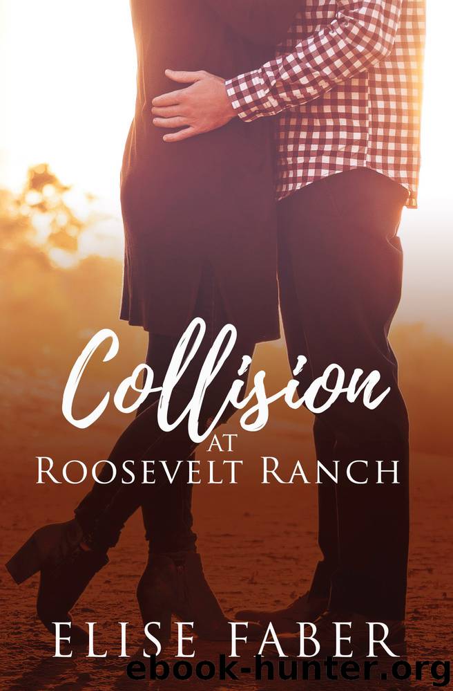 Collision at Roosevelt Ranch by Elise Faber