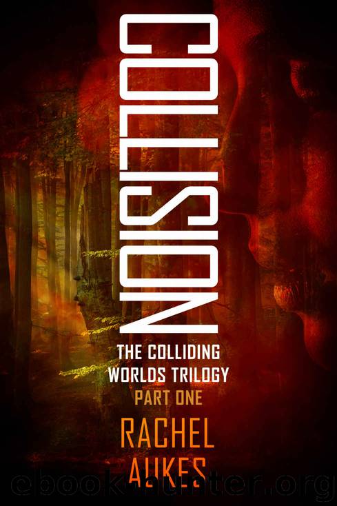 Collision by Rachel Aukes