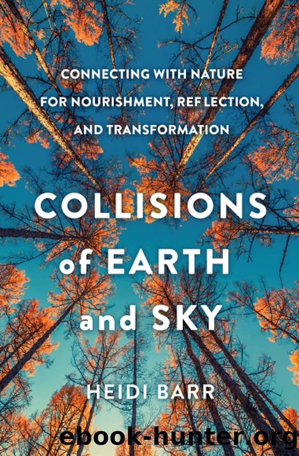 Collisions of Earth and Sky by Heidi Barr