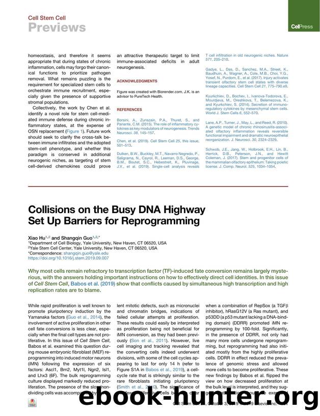 Collisions on the Busy DNA Highway Set Up Barriers for Reprogramming by Xiao Hu & Shangqin Guo