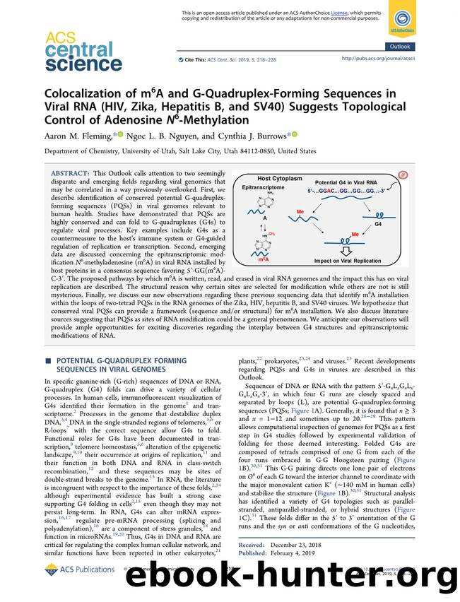 Colocalization of m6A and GâQuadruplex-Forming Sequences in Viral RNA (HIV, Zika, Hepatitis B, and SV40) Suggests Topological Control of Adenosine N6âMethylation by unknow