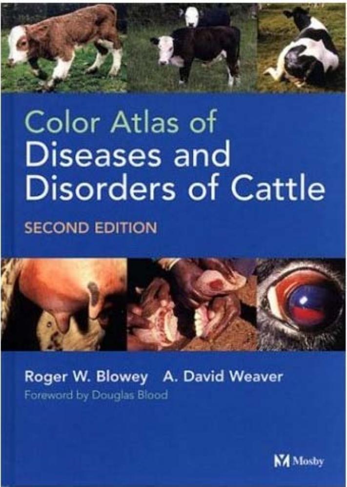 Color Atlas of Diseases and Disorders of Cattle by R. Blowey A. Weaver
