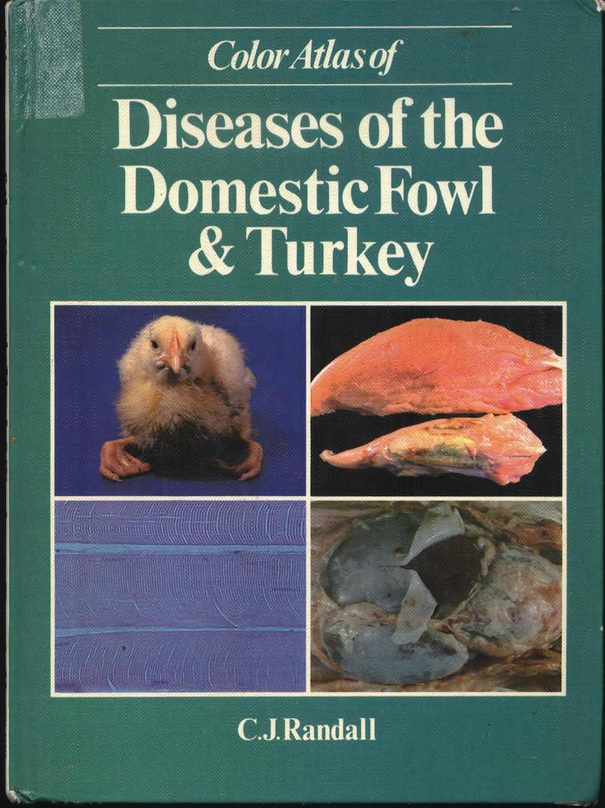 Color Atlas of Diseases of the Domestic Fowl and Turkey by C. Randall