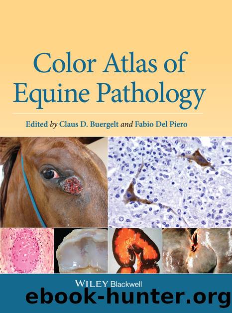 Color Atlas of Equine Pathology by Claus D. Buergelt & Fabio Del Piero