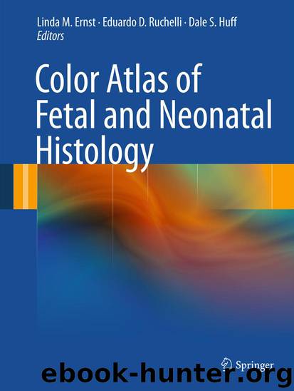Color Atlas of Fetal and Neonatal Histology by Linda M. M. Ernst Eduardo D. D. Ruchelli & Dale S. S. Huff