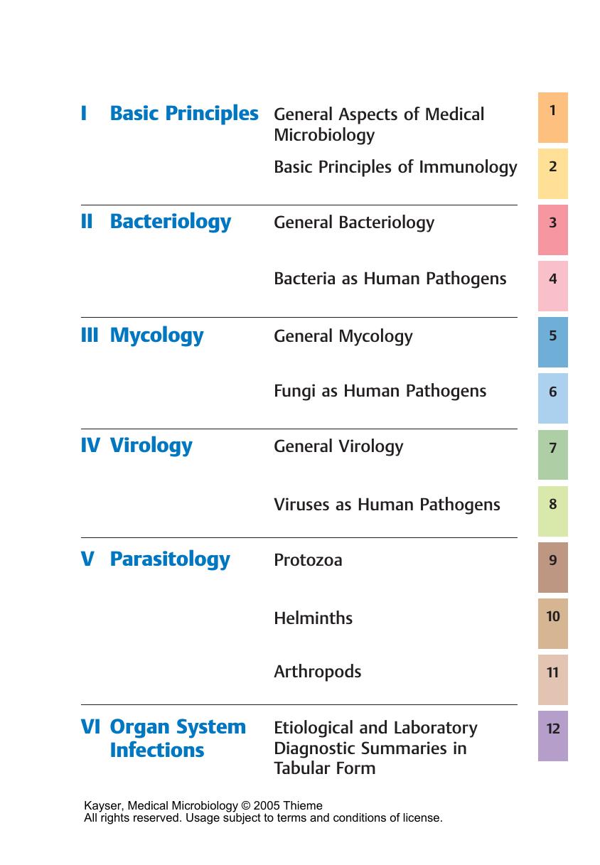 Color Atlas of Medical Microbiology by F. Kayser K. Bienz J. Eckert R. Zinkernagel