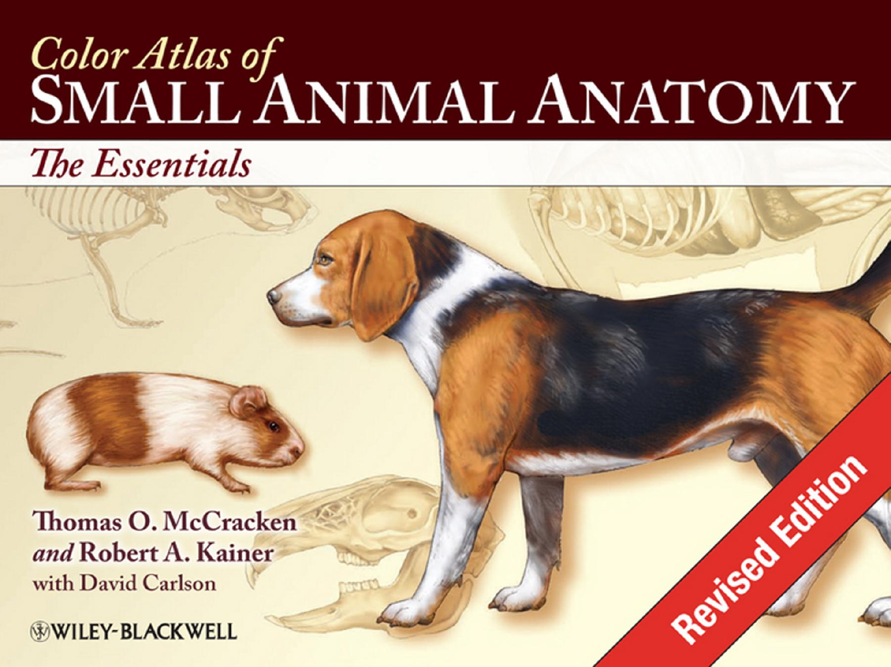 Color Atlas of Small Animal Anatomy: The Essentials by Unknow