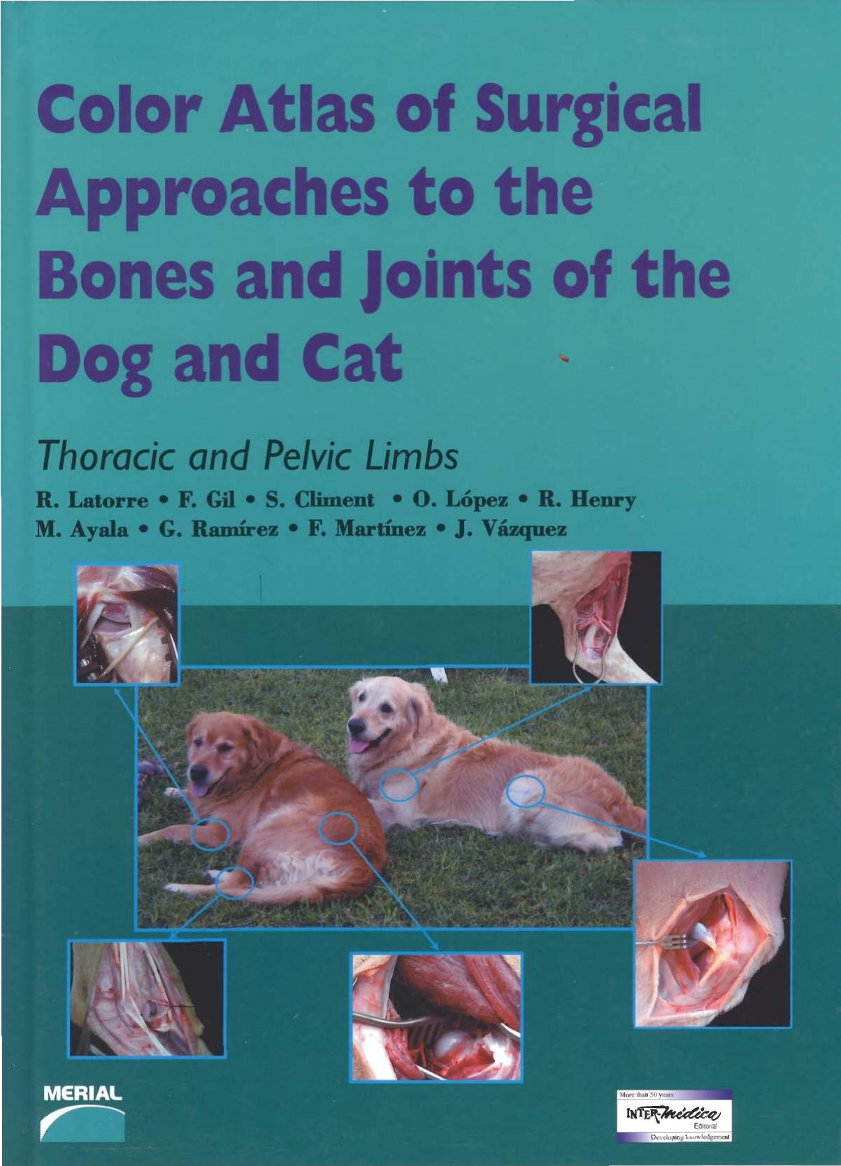 Color Atlas of Surgical Approaches to the Bones and Joints of the Dog and Cat. Thoracic and Pelvic Limbs by R Latorre et al