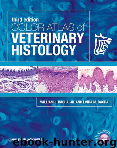 Color Atlas of Veterinary Histology by Bacha Linda M. Bacha William J. & Linda M. Bacha