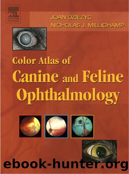 Color Atlas of Veterinary Ophthalmology by Colli