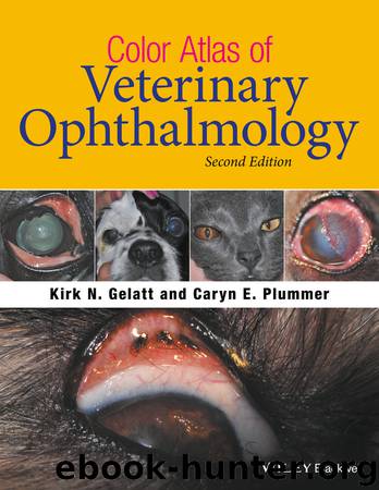 Color Atlas of Veterinary Ophthalmology by Gelatt Kirk N.; Plummer Caryn E.; & Caryn E. Plummer