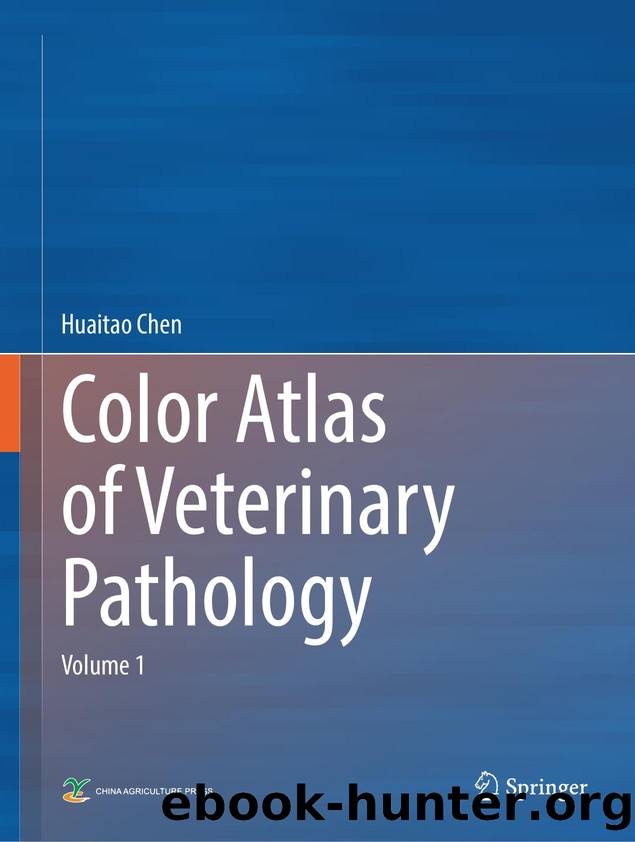 Color Atlas of Veterinary Pathology by Unknown